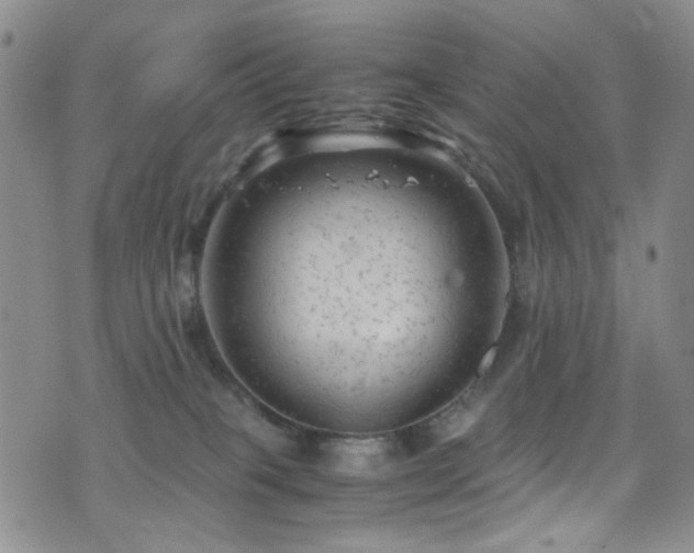 X0000072550085200607141303