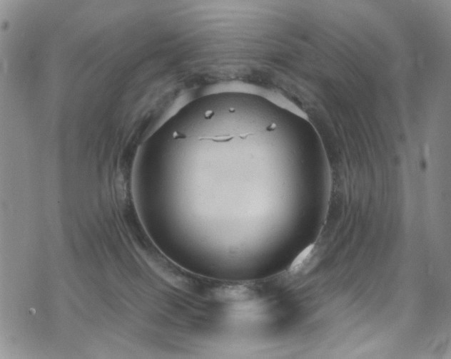 X0000072550086200607141303