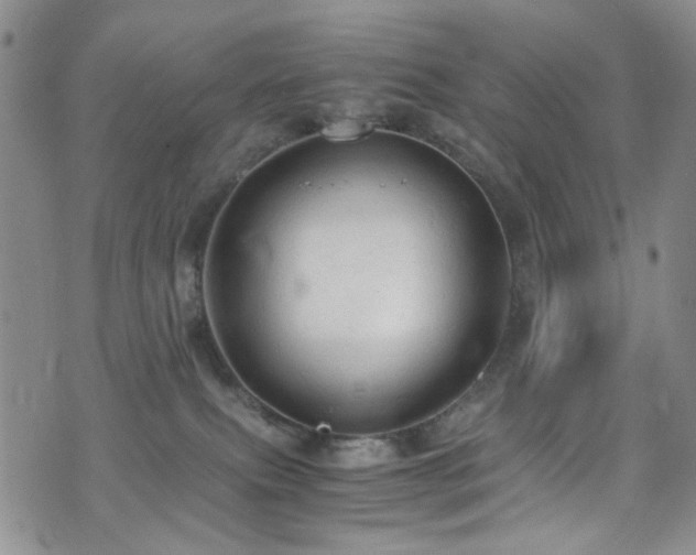 X0000072550087200607141303