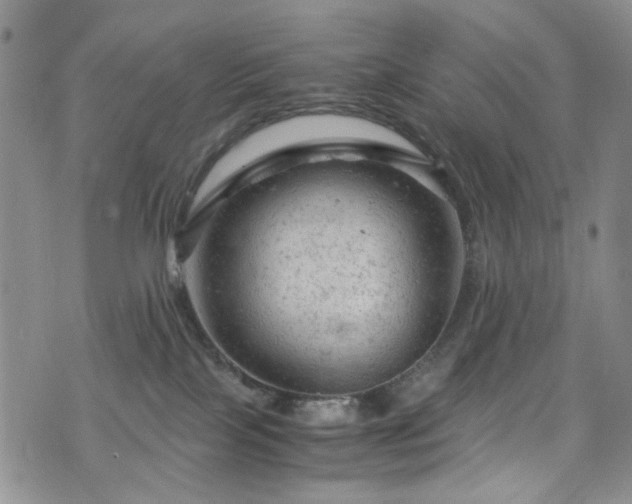 X0000072550089200607141303