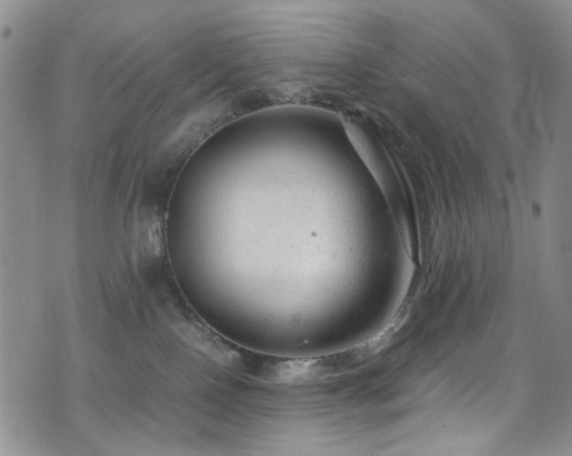 X0000072550090200607141303