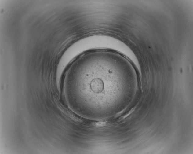 X0000072550092200607141303