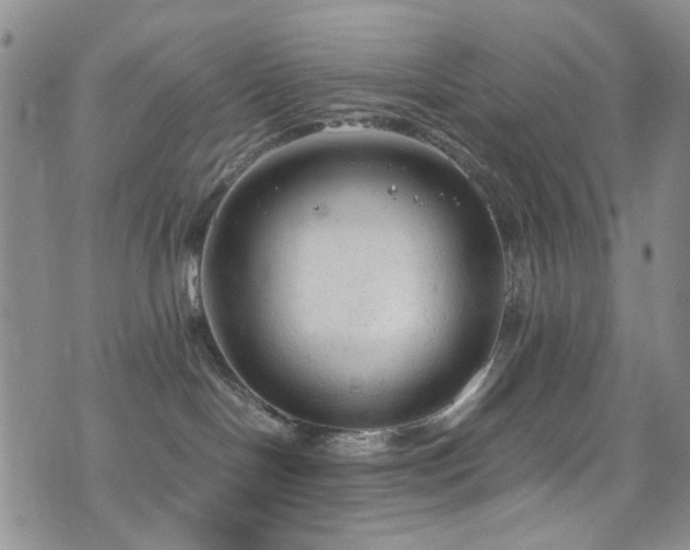 X0000072550094200607141303