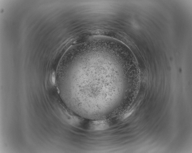 X0000072550095200607141303