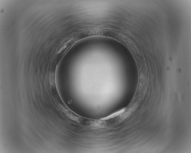 X0000072550096200607141303