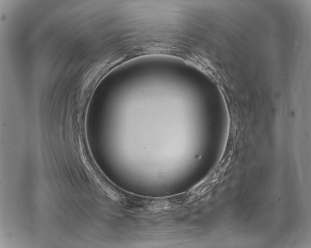 X0000072550097200607141302