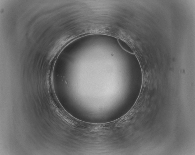 X0000072550098200607141302