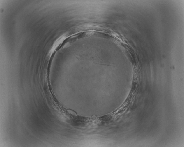 X0000072550099200607141302