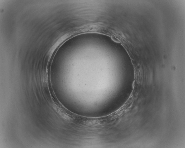 X0000072550100200607141302