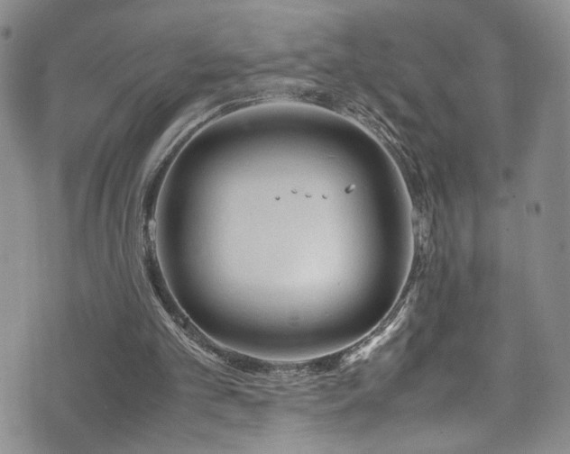 X0000072550101200607141302