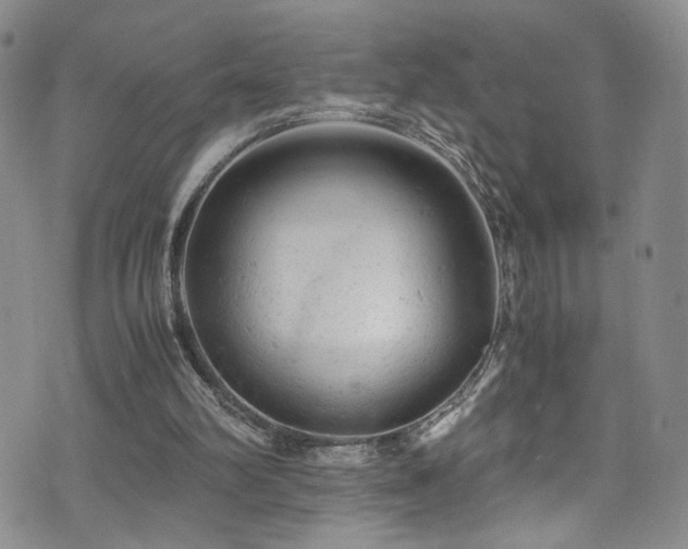 X0000072550102200607141302