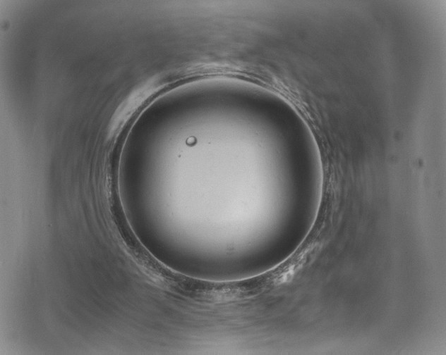 X0000072550103200607141302