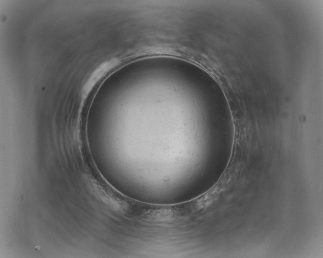 X0000072550104200607141302