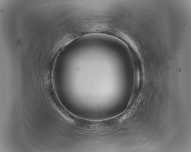 X0000072550105200607141302