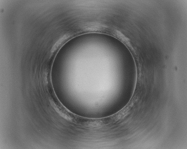 X0000072550106200607141302