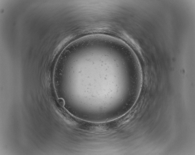 X0000072550107200607141302