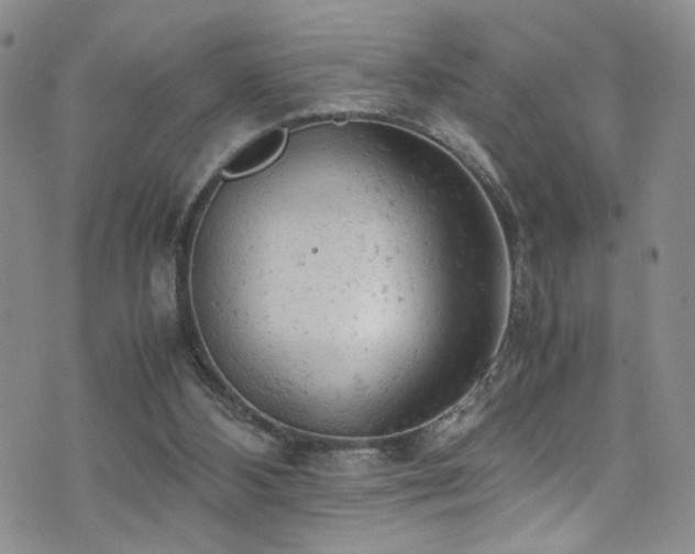 X0000072550108200607141302