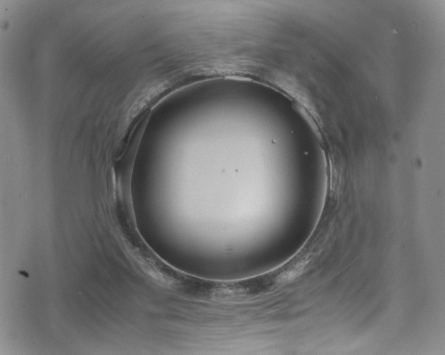 X0000072550109200607141302