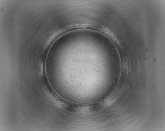 X0000072550110200607141302