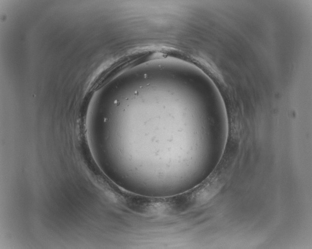 X0000072550111200607141302