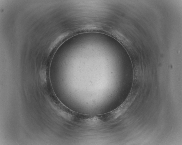 X0000072550112200607141302