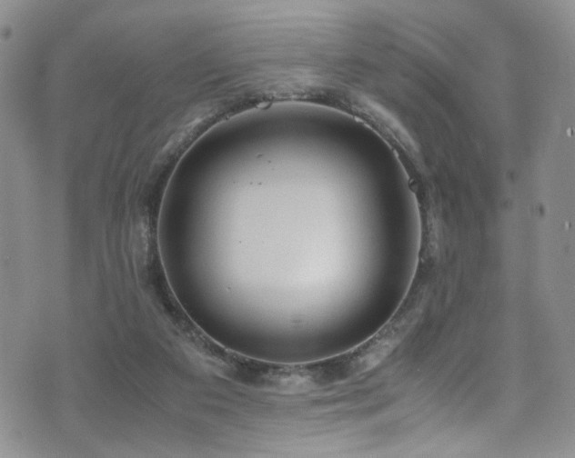 X0000072550113200607141302