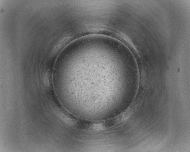 X0000072550114200607141302