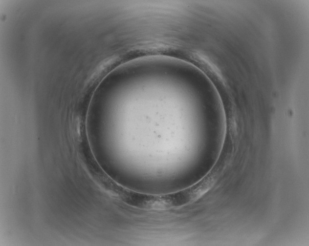 X0000072550115200607141302