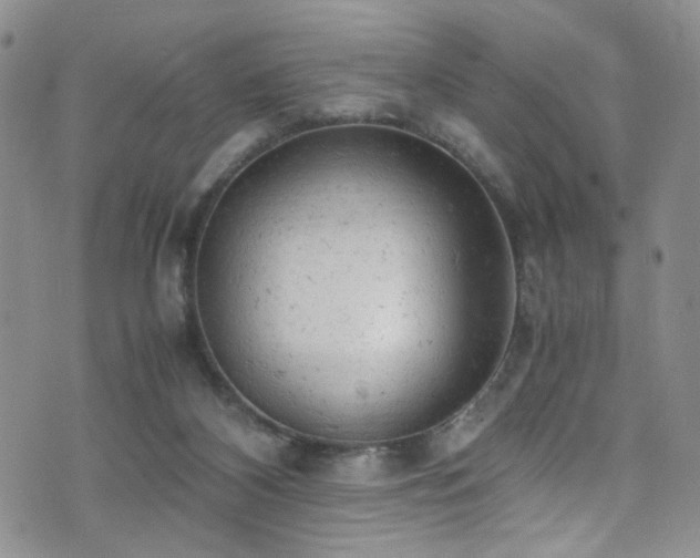 X0000072550116200607141302