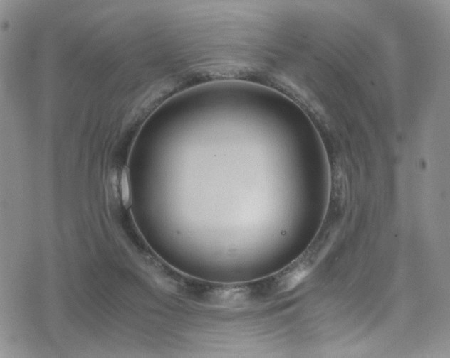 X0000072550117200607141302