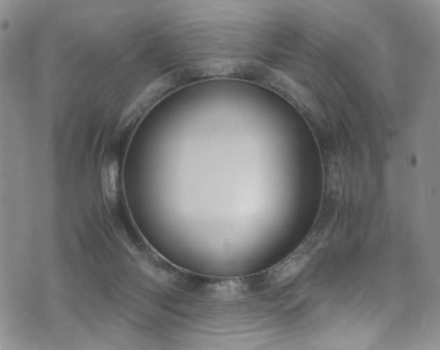 X0000072550118200607141302