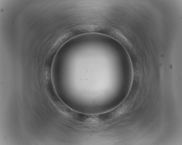 X0000072550119200607141302