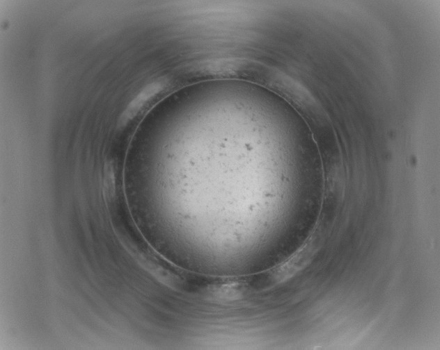 X0000072550120200607141302