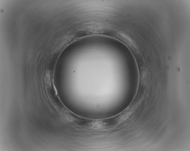 X0000072550121200607141302