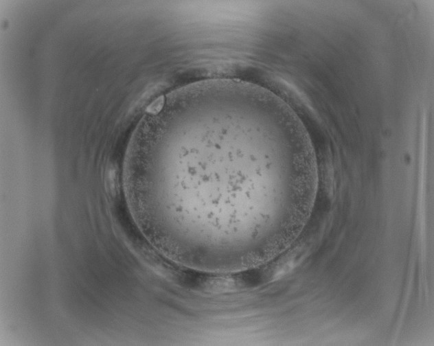 X0000072550123200607141302