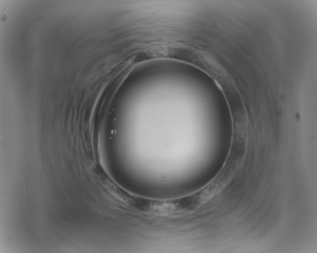 X0000072550125200607141302