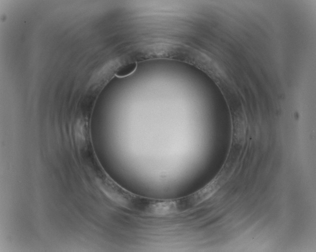 X0000072550126200607141302