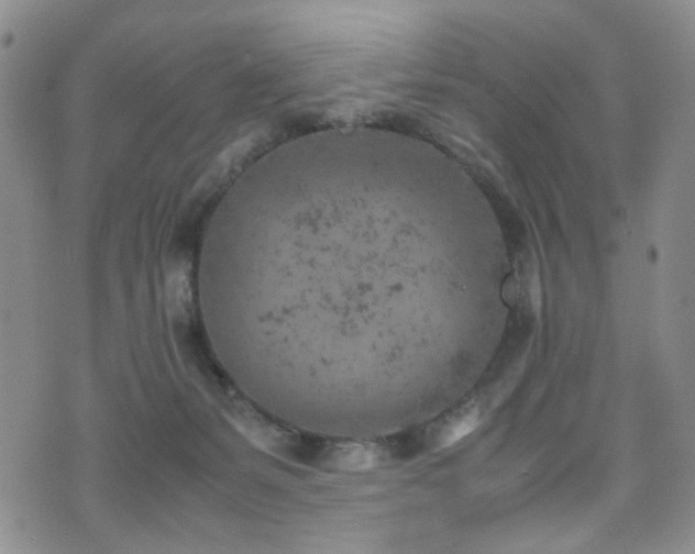 X0000072550127200607141302