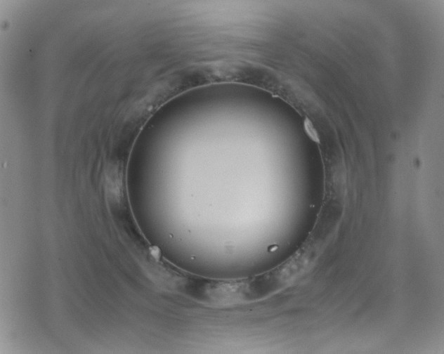 X0000072550129200607141302