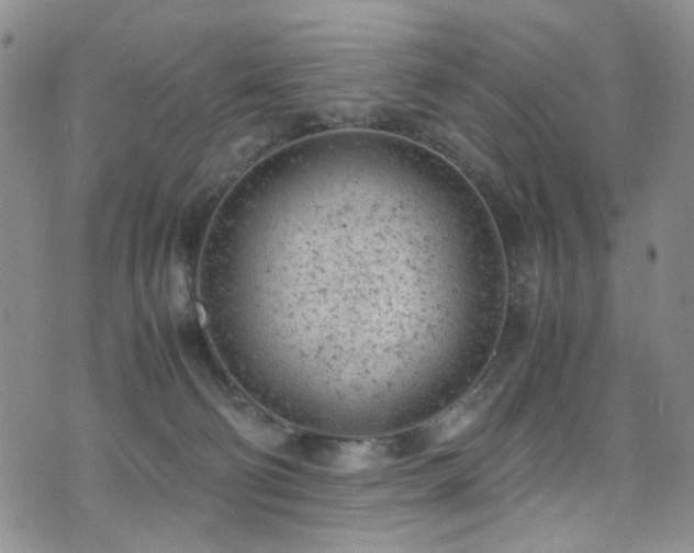 X0000072550130200607141302