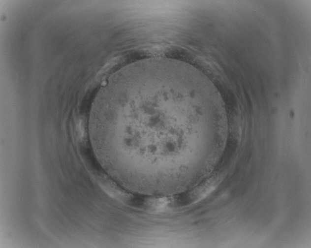 X0000072550131200607141302