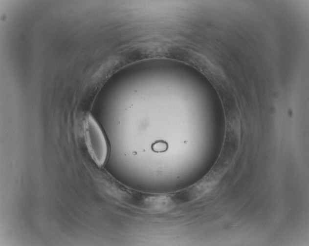 X0000072550133200607141302