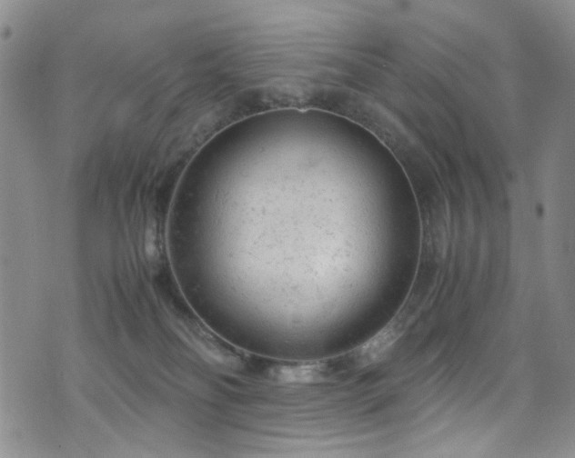 X0000072550134200607141302