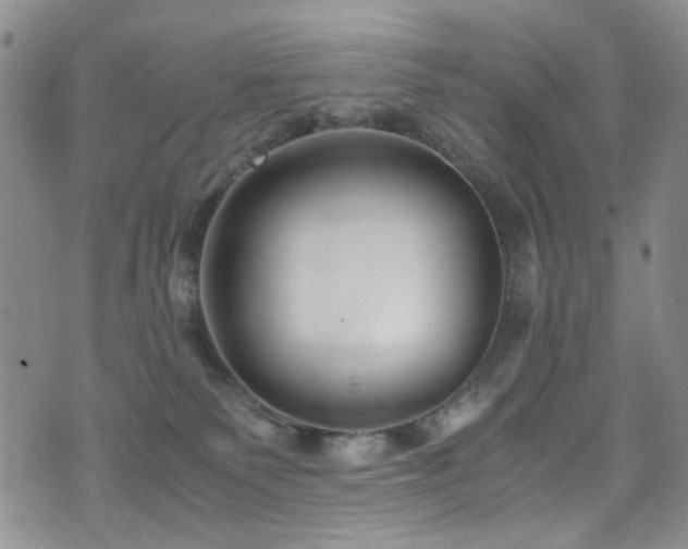 X0000072550135200607141302