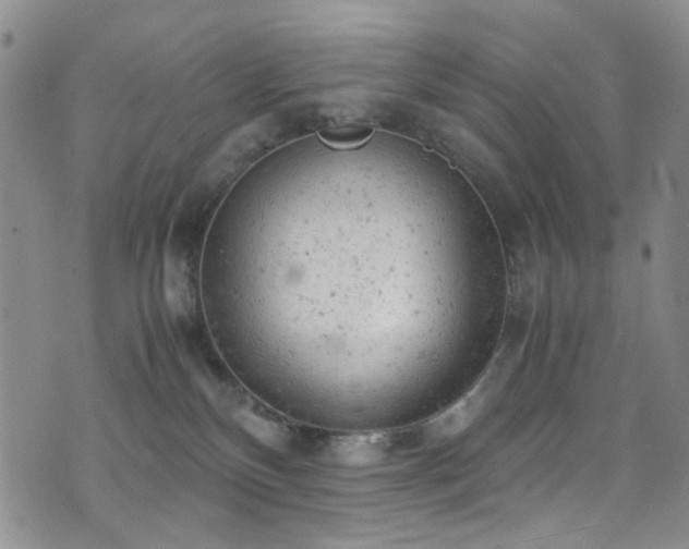 X0000072550136200607141302