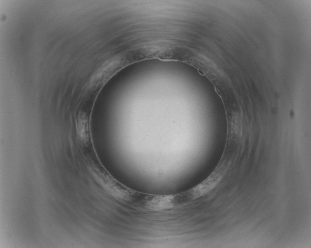 X0000072550138200607141302