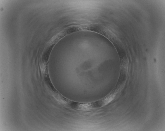 X0000072550139200607141302