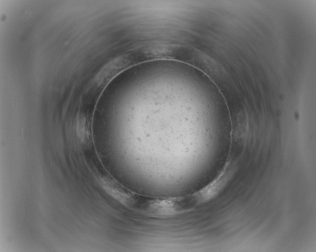 X0000072550140200607141302