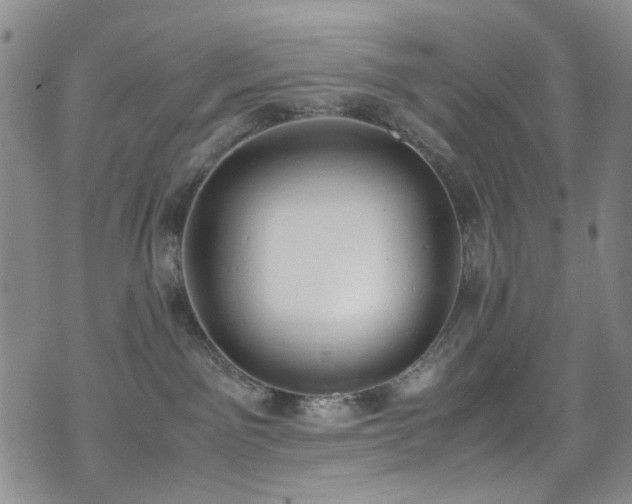 X0000072550141200607141302