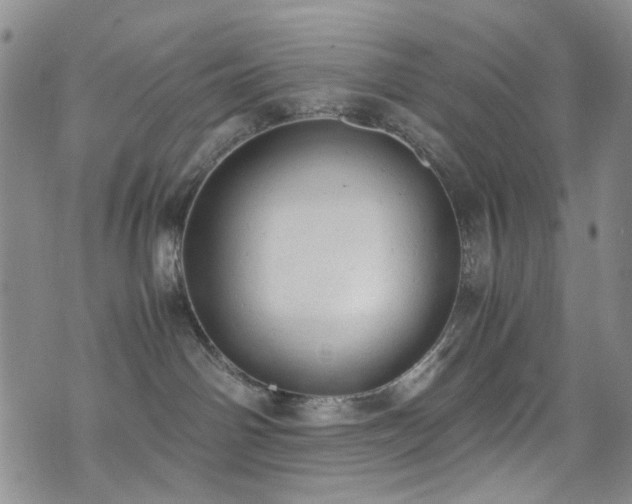 X0000072550142200607141302